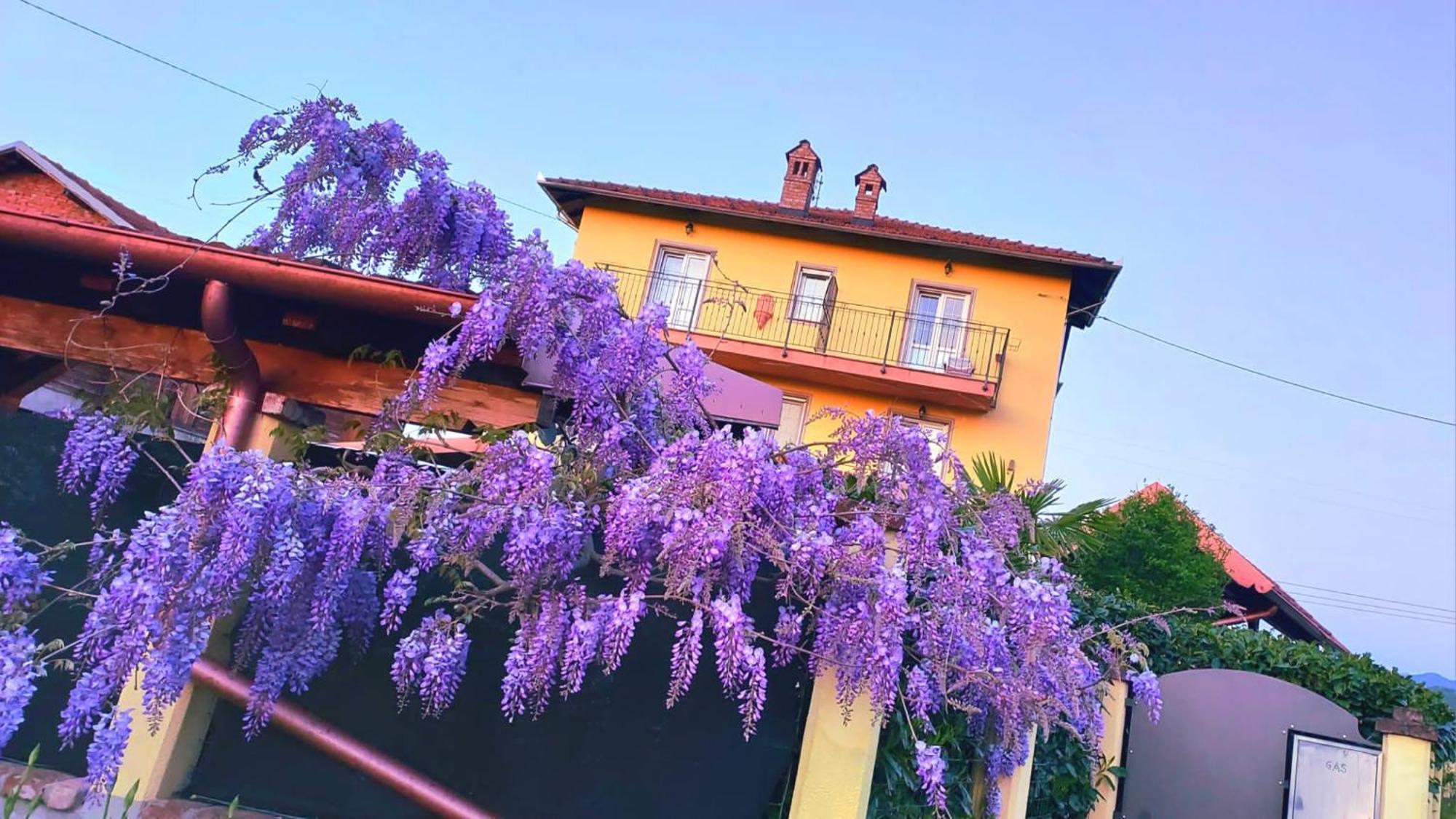 B&B Villa S Anna Hospitality Solutions Arquata Scrivia Екстериор снимка